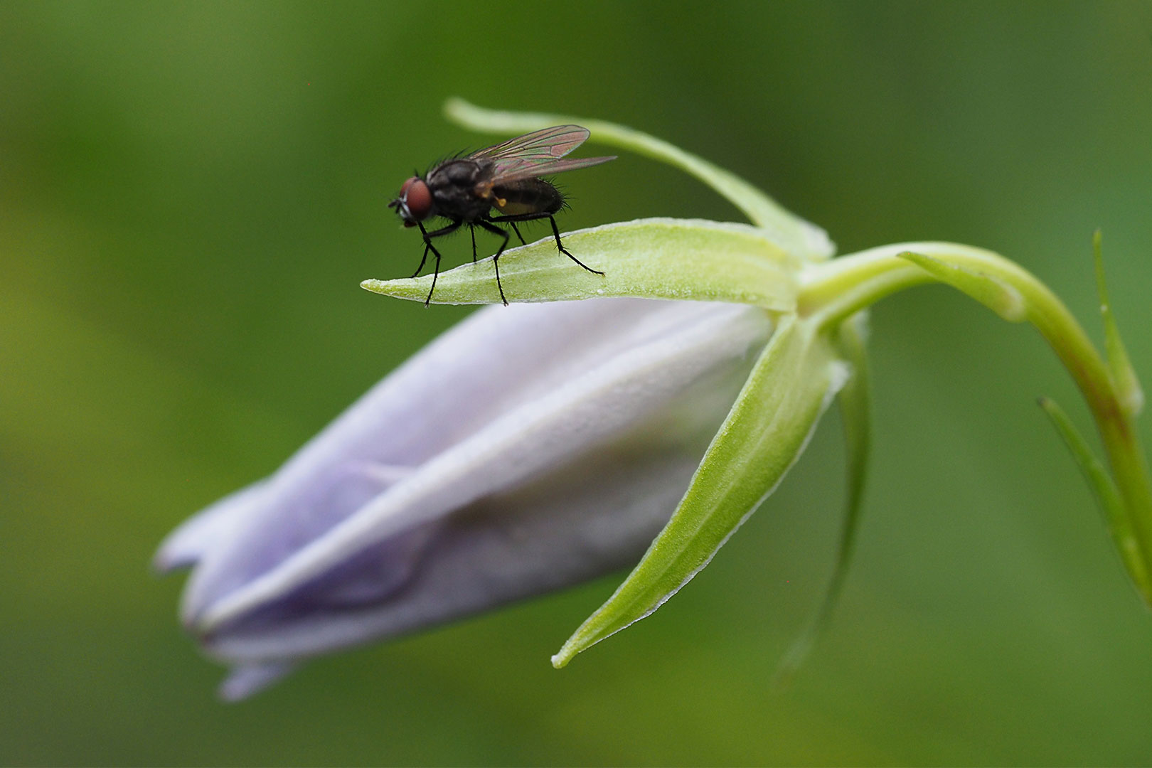 2020-07-16-34-vor-dem-start-mh-8.5-3 Vor dem Start (Foto: Manuela Hahnebach)