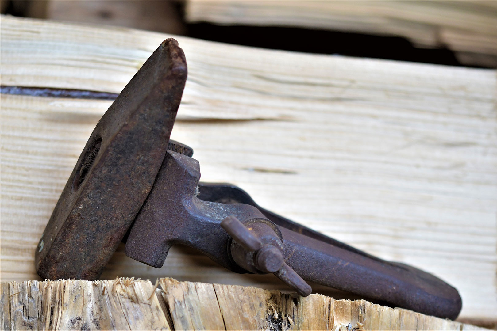 2020-07-30-04-DSC_1172-ds-5.66 Spannkloben mit Hammerkopf (Foto: Dietmar Schmidt)