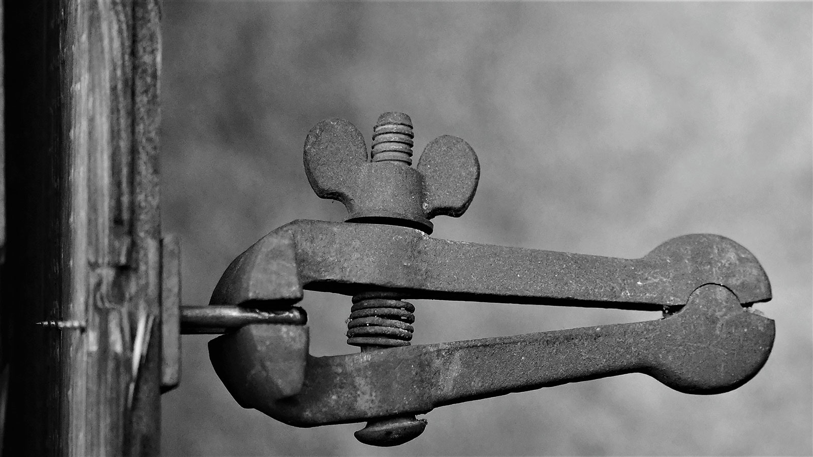 Kein Fotoclub
