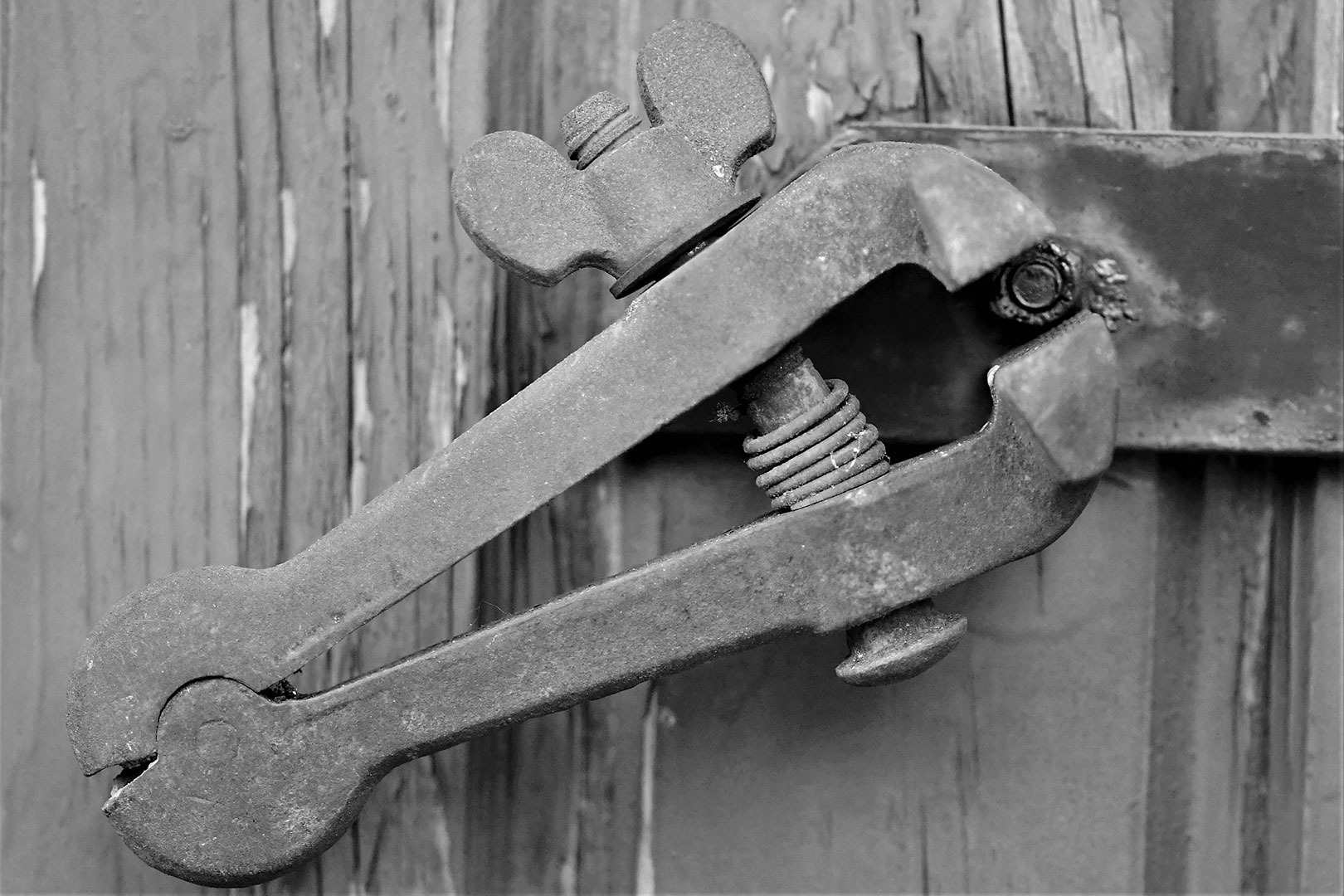 2020-07-30-07-DSC_1184-ds-4.66 Spannkloben an Mutter (Foto: Dietmar Schmidt)