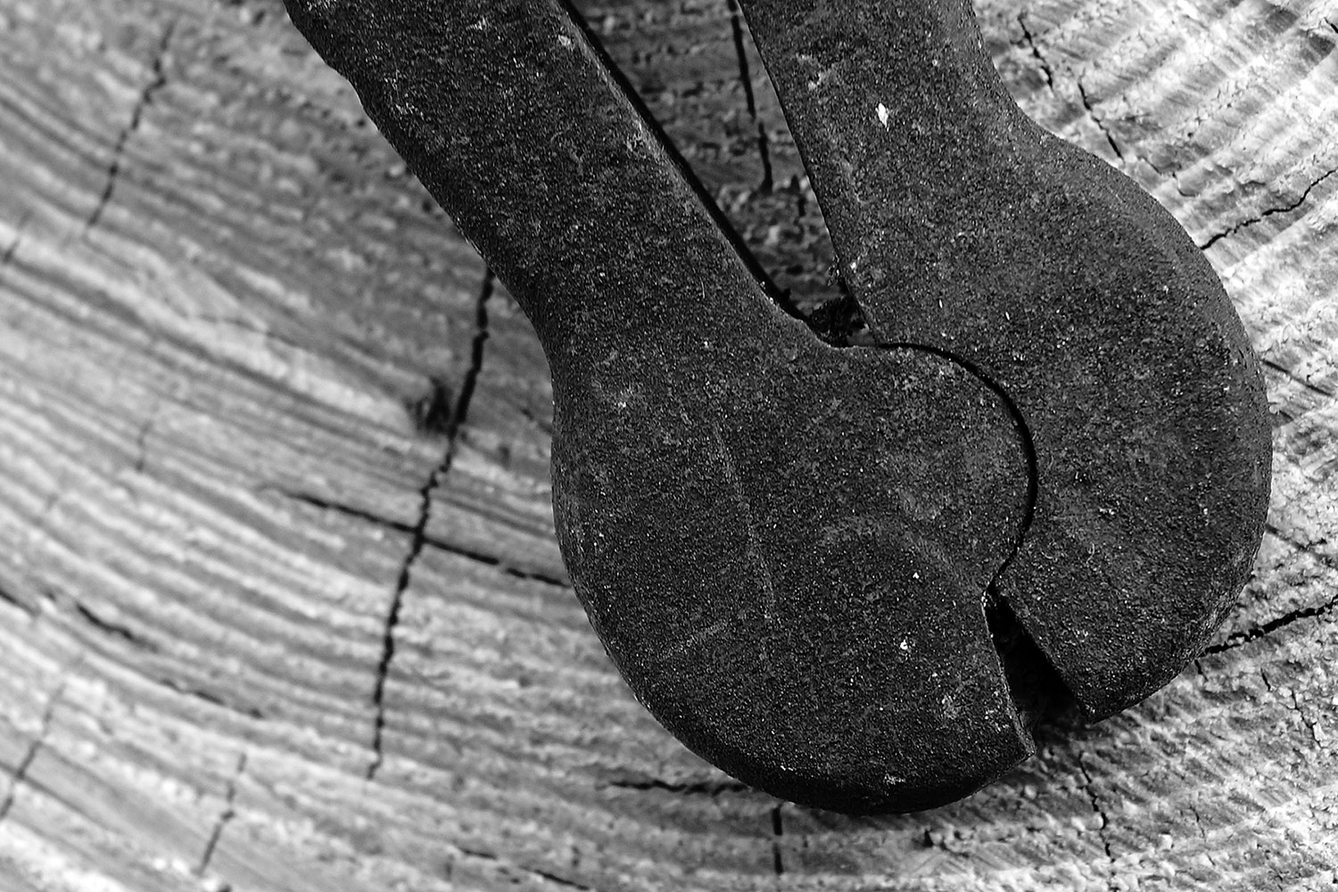 Fotoclub-Kontrast-Ausstellung "Schau!" in der Rennsteig-Galerie Suhl