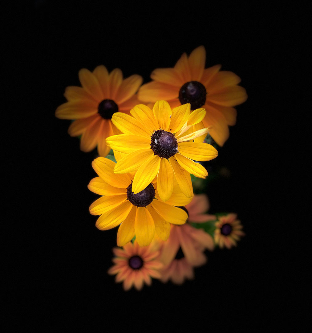 Fotoclub: Bild des Monats 12.2022