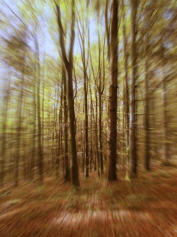 Fotoausstellung "Entdeckungen" Fotoclub Reflexion 90 Erfurt