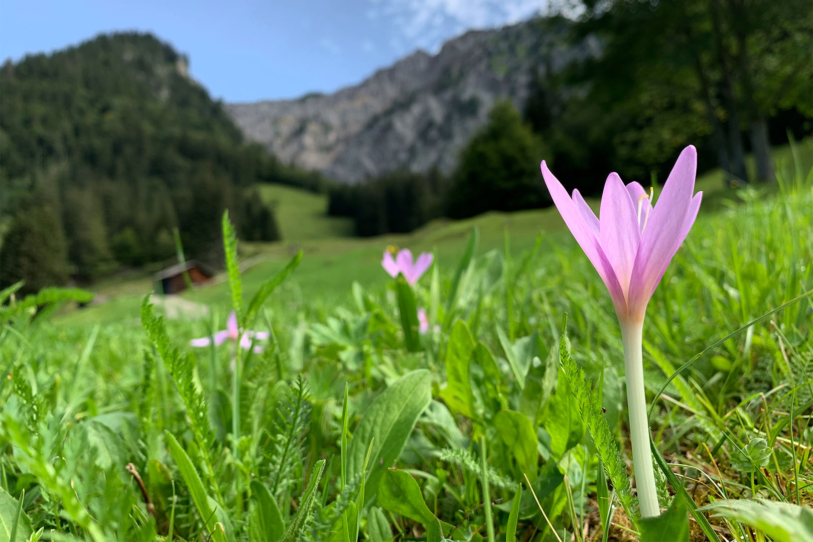 Fotoclub: Bild des Jahres 2024
