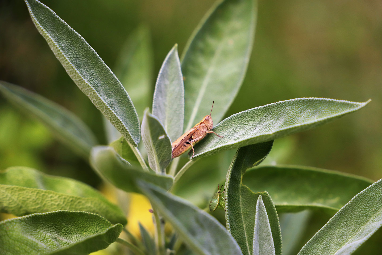 Fotoclub: Bild des Monats 12.2021