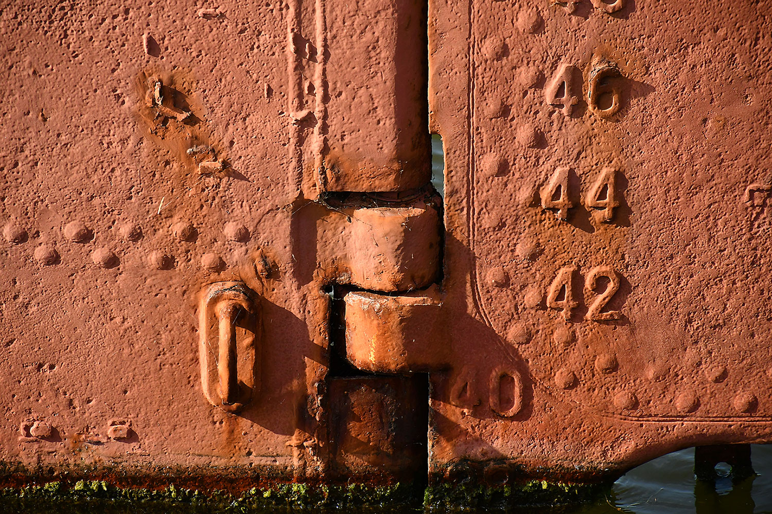 Sommer-Fotoclub bei PMS
