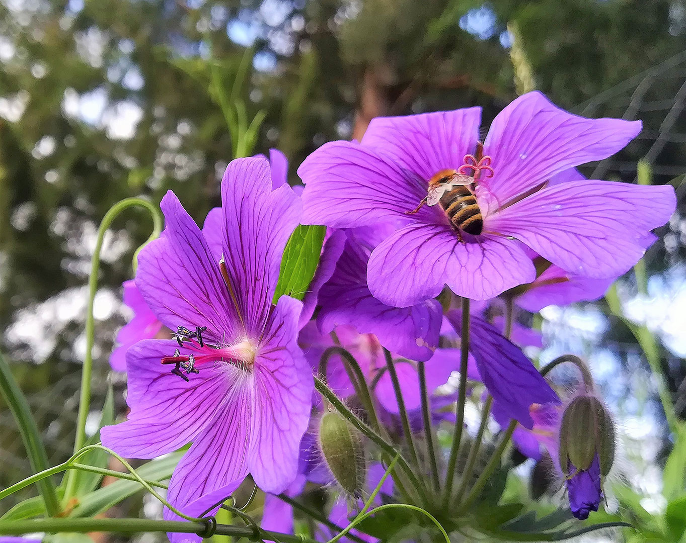 2020-10-04-Am-Buffet-kw-6 Am Buffett (Foto: Kerstin Wolff)