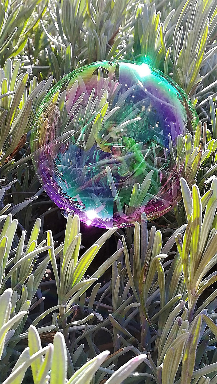 2020-10-12-Farbenspiel-kw-6 Farbenspiel (Foto: Kerstin Wolff)