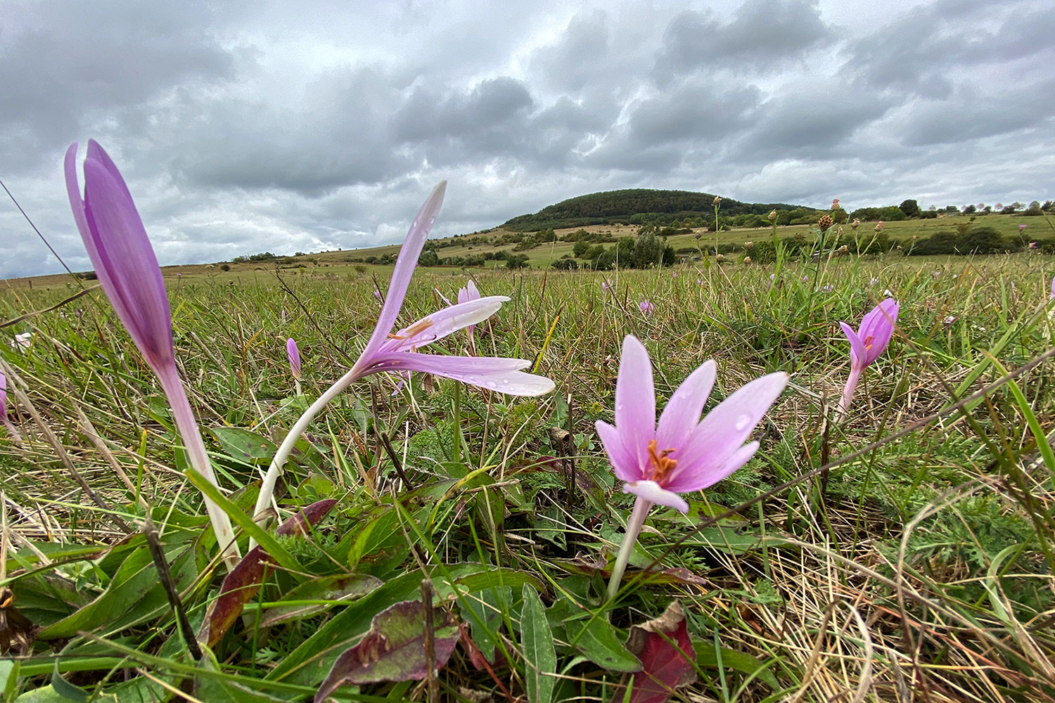 2020-10-18-herbstzeit-am-dolmar-mh-4.5 Herbstzeit am Dolmar (Foto: Manuela Hahnebach)