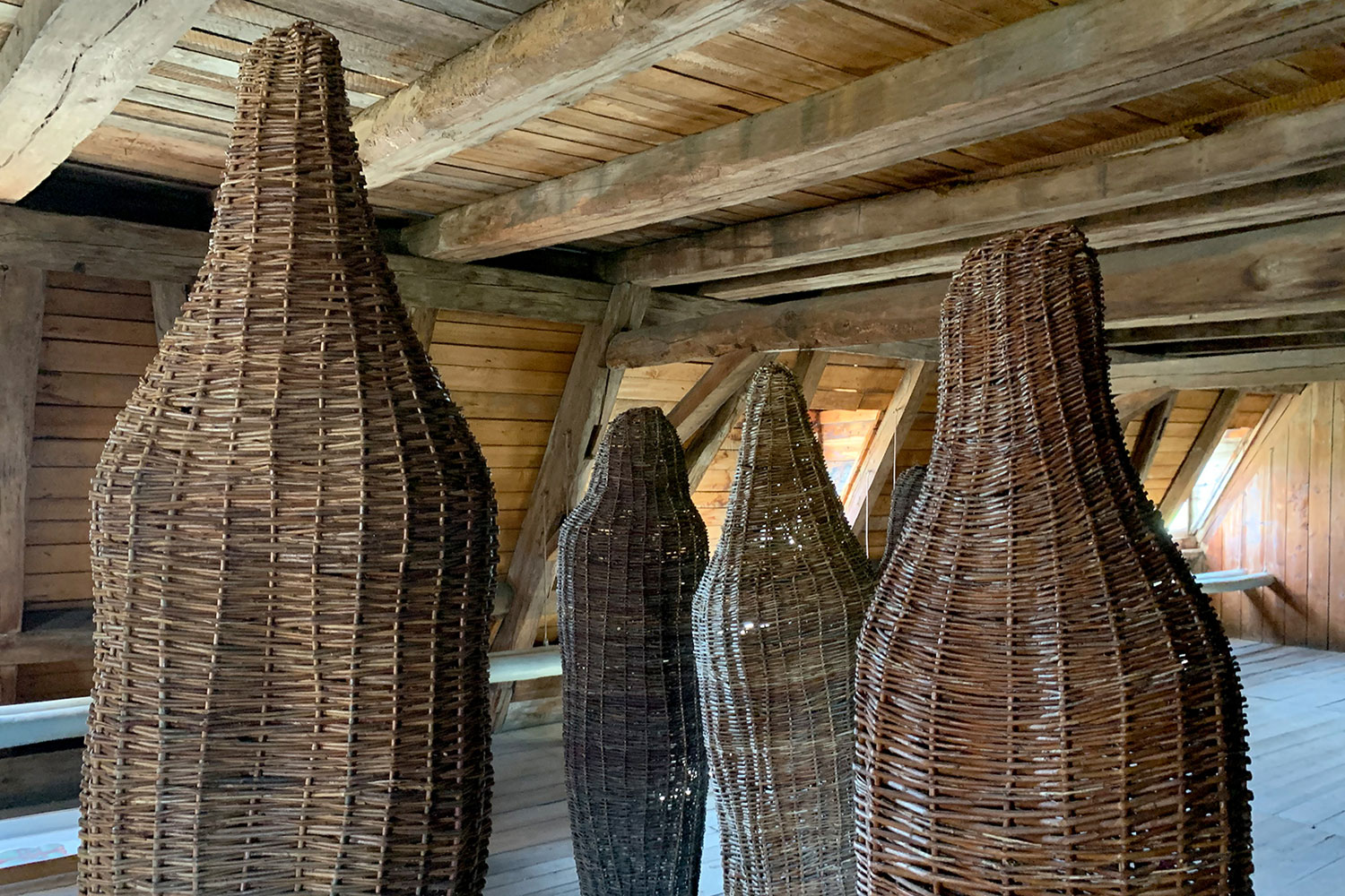 2020-10-23-Korbonauten-IMG_1913-ak-5.33 Korbonauten (Foto: Andreas Kuhrt)