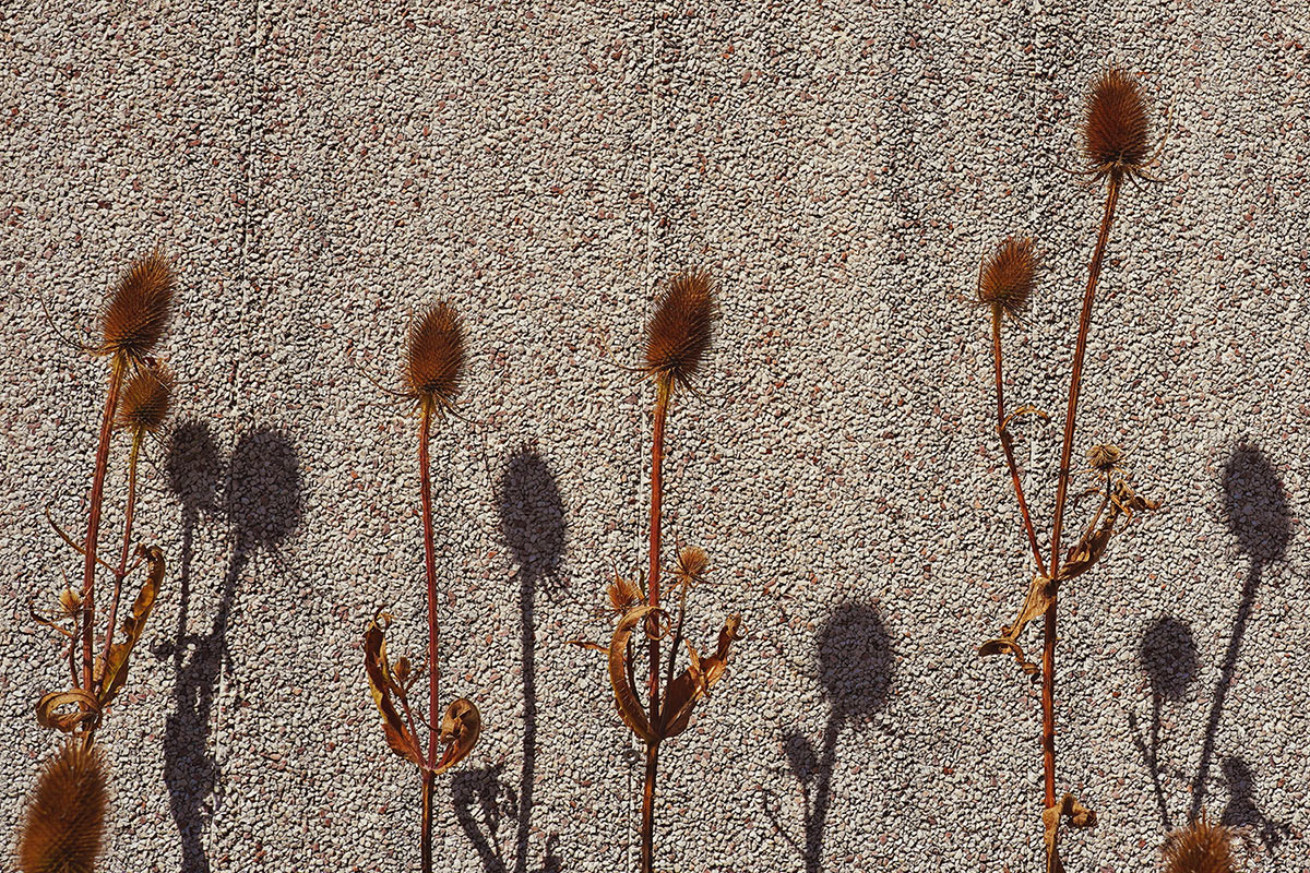 Fotoausstellung "Handwerk ist nachhaltig"