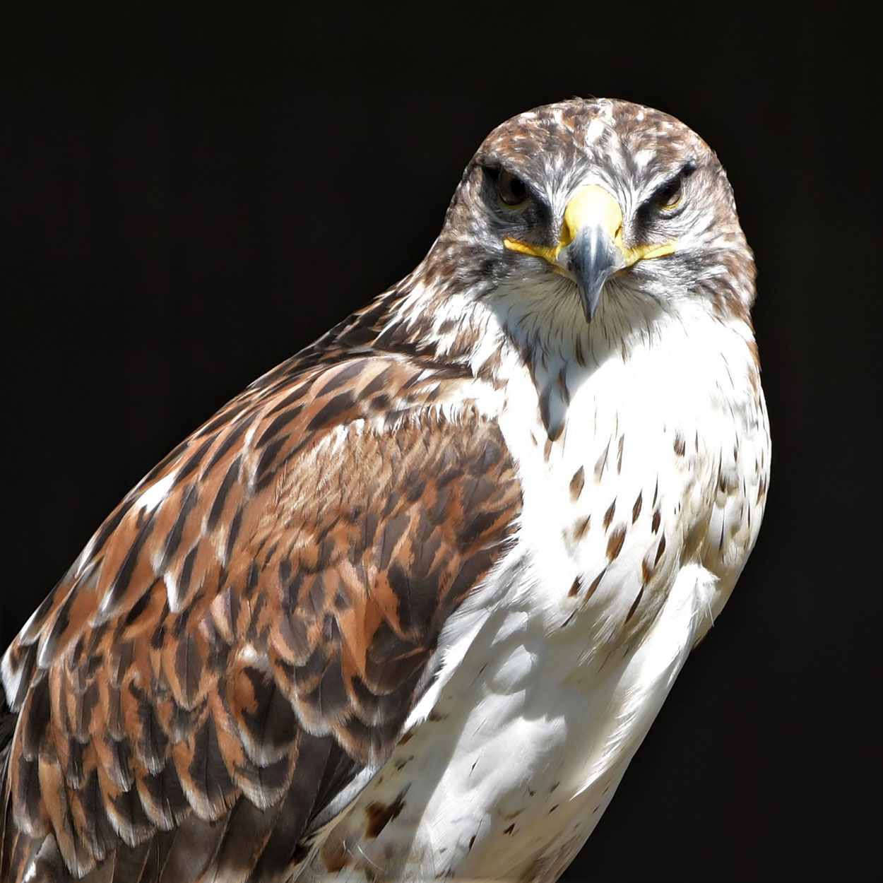 2020-11-30-Im-Blick-rok-5.86 Im Blick (Foto: Roland Kastner)