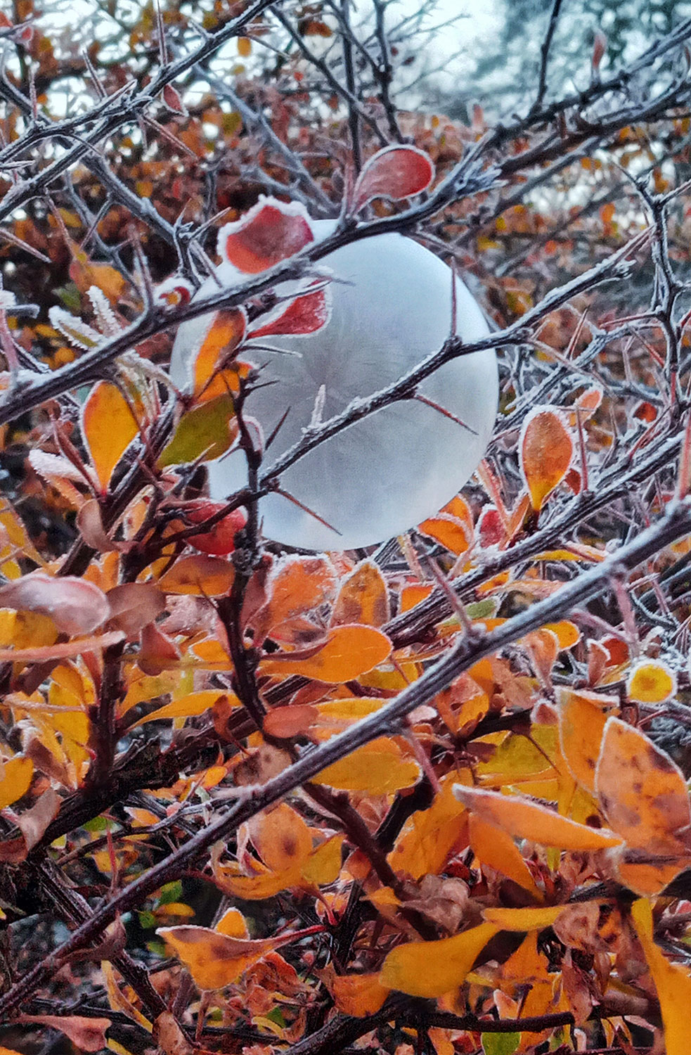 Fotoclub: Bild des Quartals 3.2025