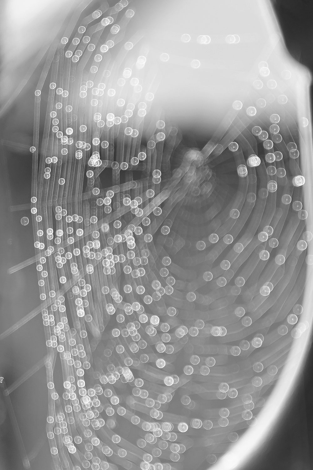Fotoclub: Fotobearbeitung mit KI