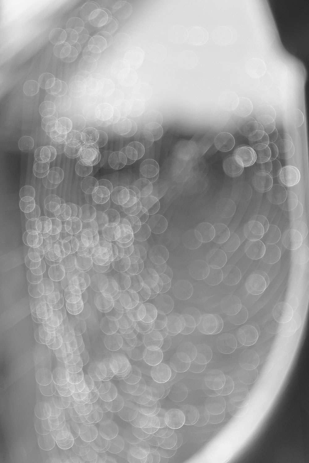Fotoclub
