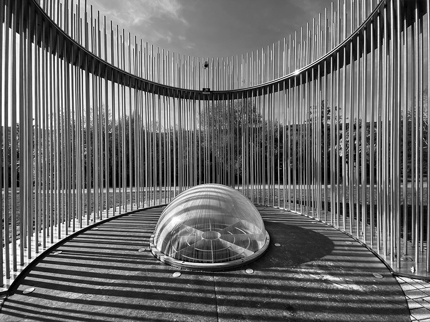 Fotoclub: Bild des Quartals 3.2025