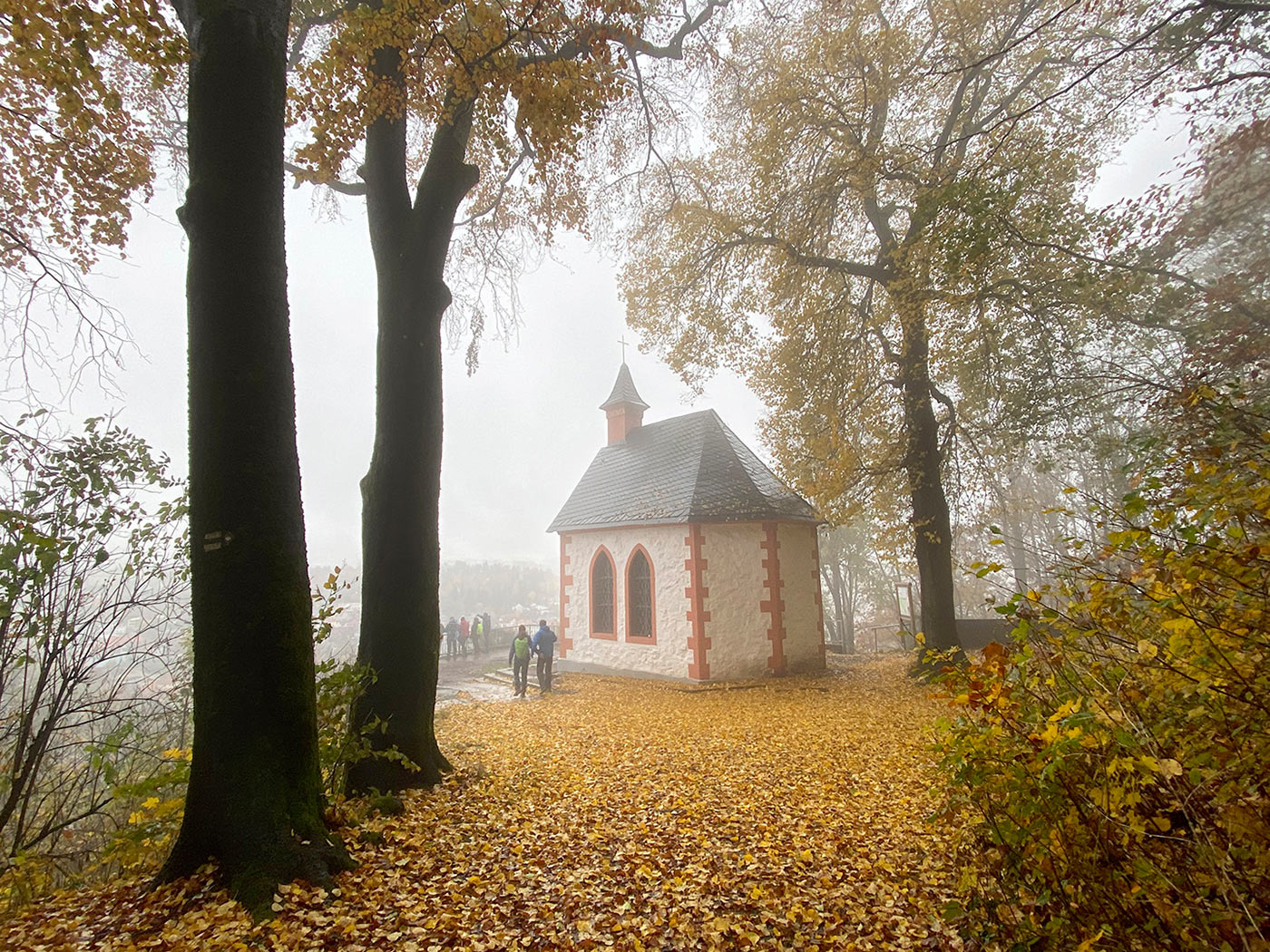 2020-11-zz04-herbst-4-mh-5.71 Serie: Herbst 4 (Foto: Manuela Hahnebach)