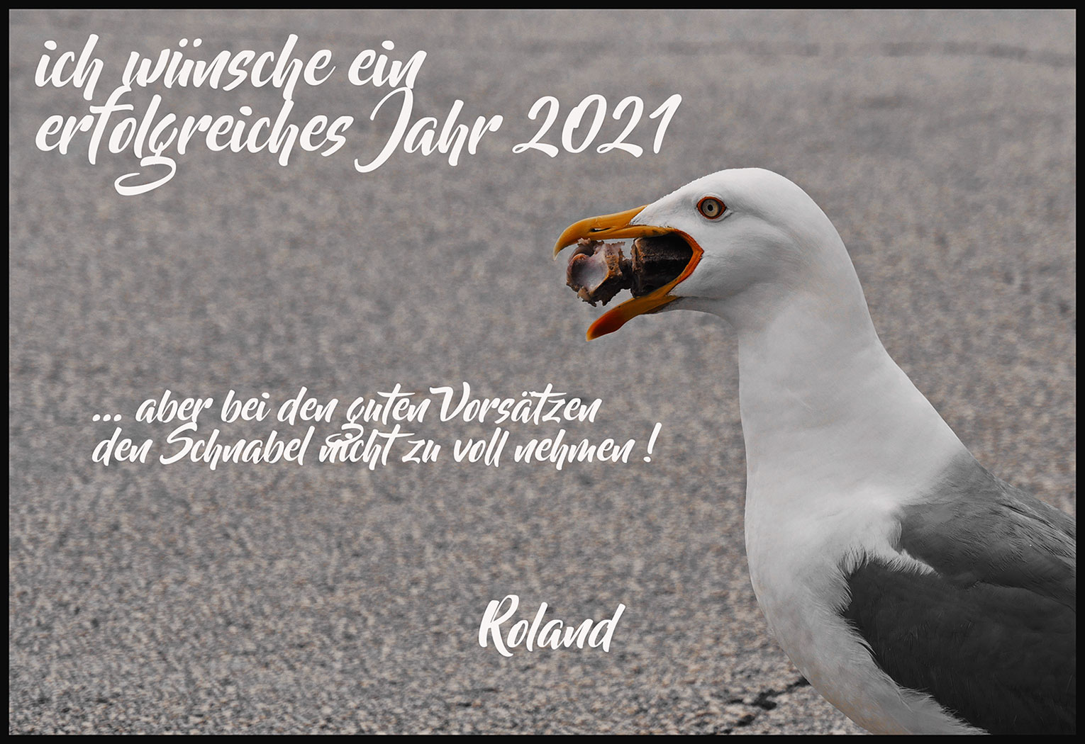 Fotoclub: Fotobearbeitung mit KI