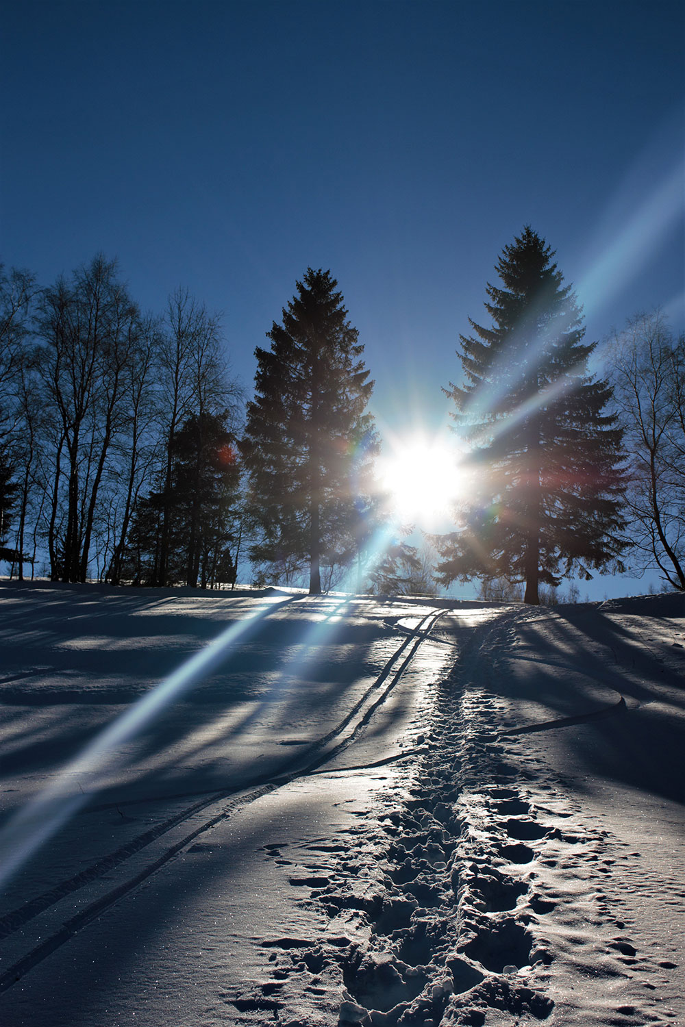 2020-12-Schneespur-mst Schneespur (Foto: Michael Stürtz)
