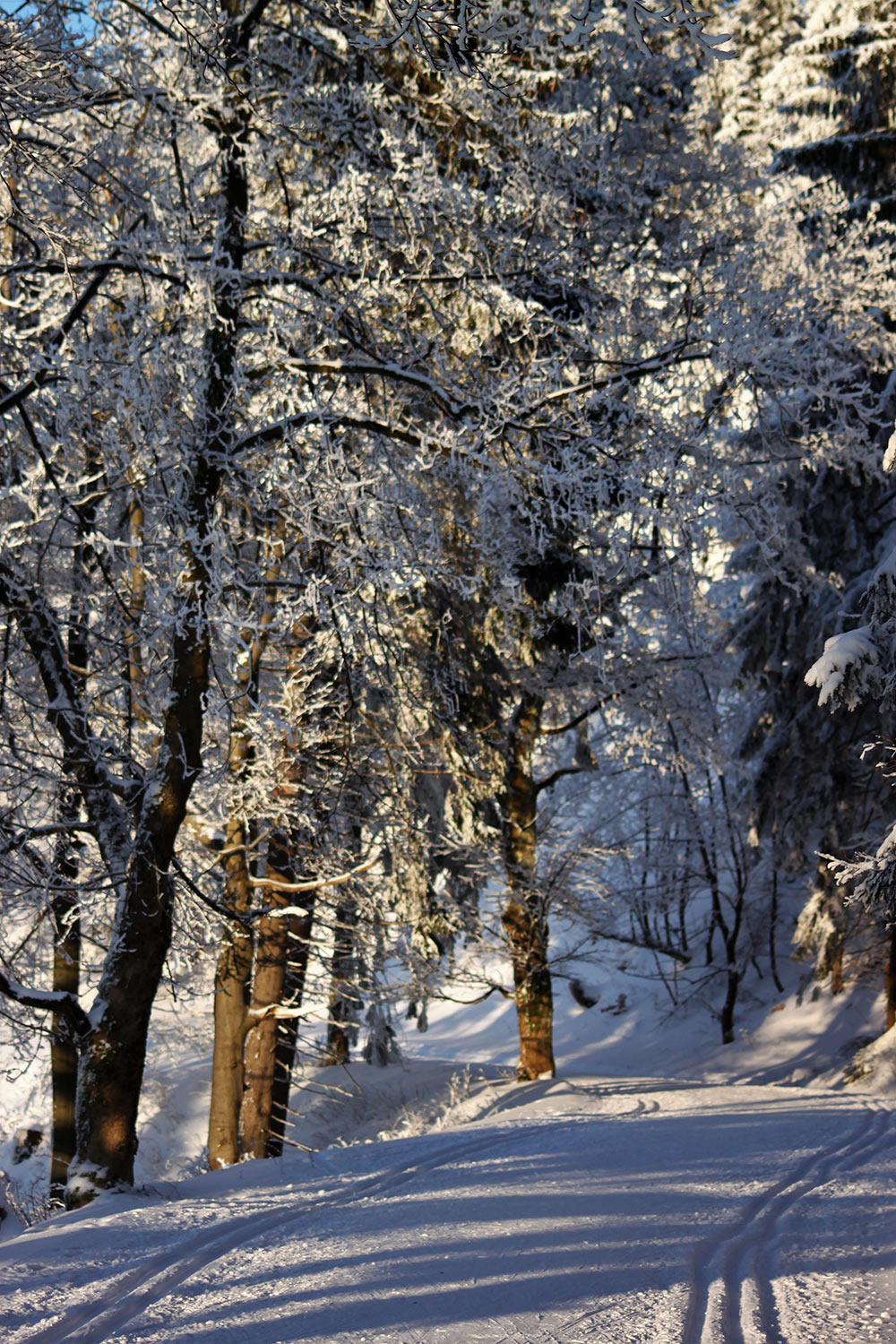 2020-12-Way-to-Northpole-mst Way to Northpole (Foto: Michael Stürtz)