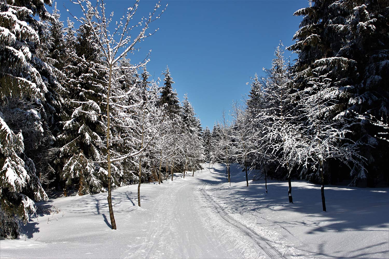 2020-12-Winterwonderland Winterwonderland (Foto: Michael Stürtz)