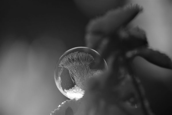 Dezent im Hintergrund (Foto: Kerstin Wolff)