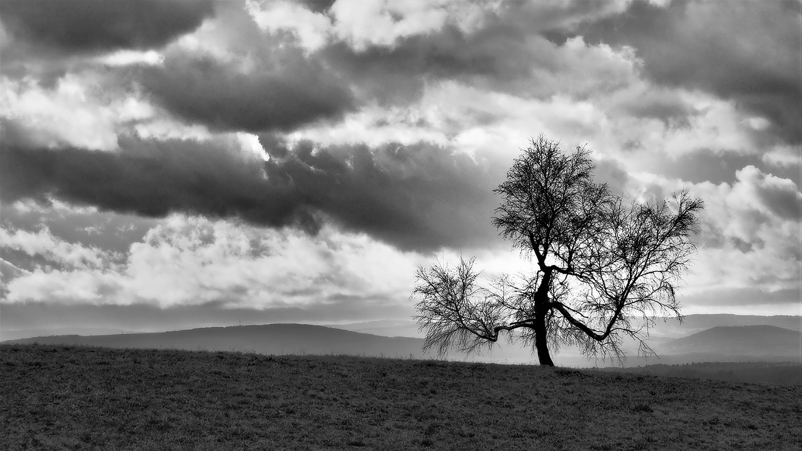 2020-Bild-des-Jahres-17-Fruehjahr-ds-5.67 Frühjahr (Foto: Dietmar Schmidt)