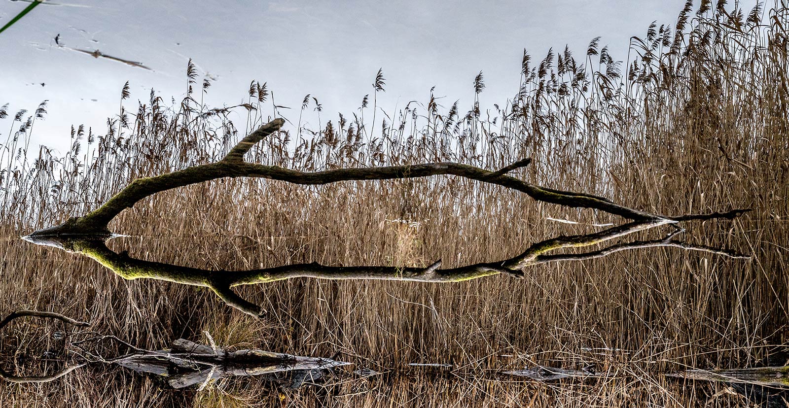 2020-Bild-des-Jahres-25-illusion-upf-6.67 Illusion (Foto: Uli Pfeufer)