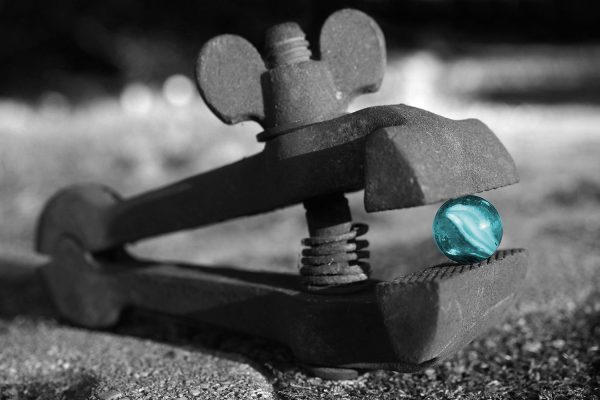 Im Biss (Foto: Andreas Kuhrt)