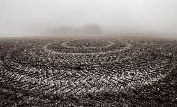Im Nebel (Foto: Manuela Hahnebach)