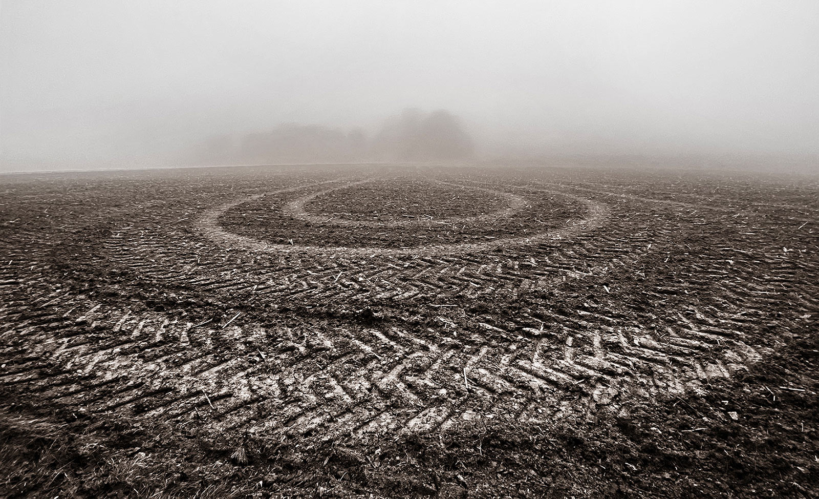2020-Bild-des-Jahres-28-im-nebel-mh-6.67 Im Nebel (Foto: Manuela Hahnebach)