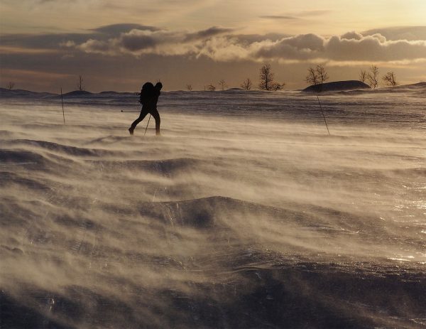 Im Schneesturm (Foto: Manuela Hahnebach)