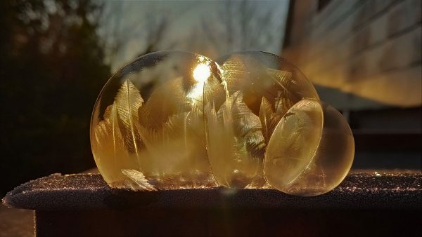 Kaltes Trio im Sonnenaufgang (Foto: Kerstin Wolff)
