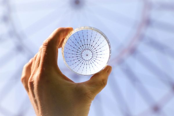 Kuppelblick (Foto: Kerstin Wolff)