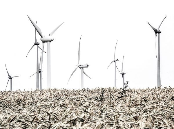 Reif (Foto: Uli Pfeufer)