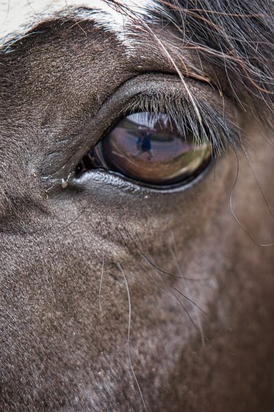 Was macht der da? (Foto: Roland Kastner)