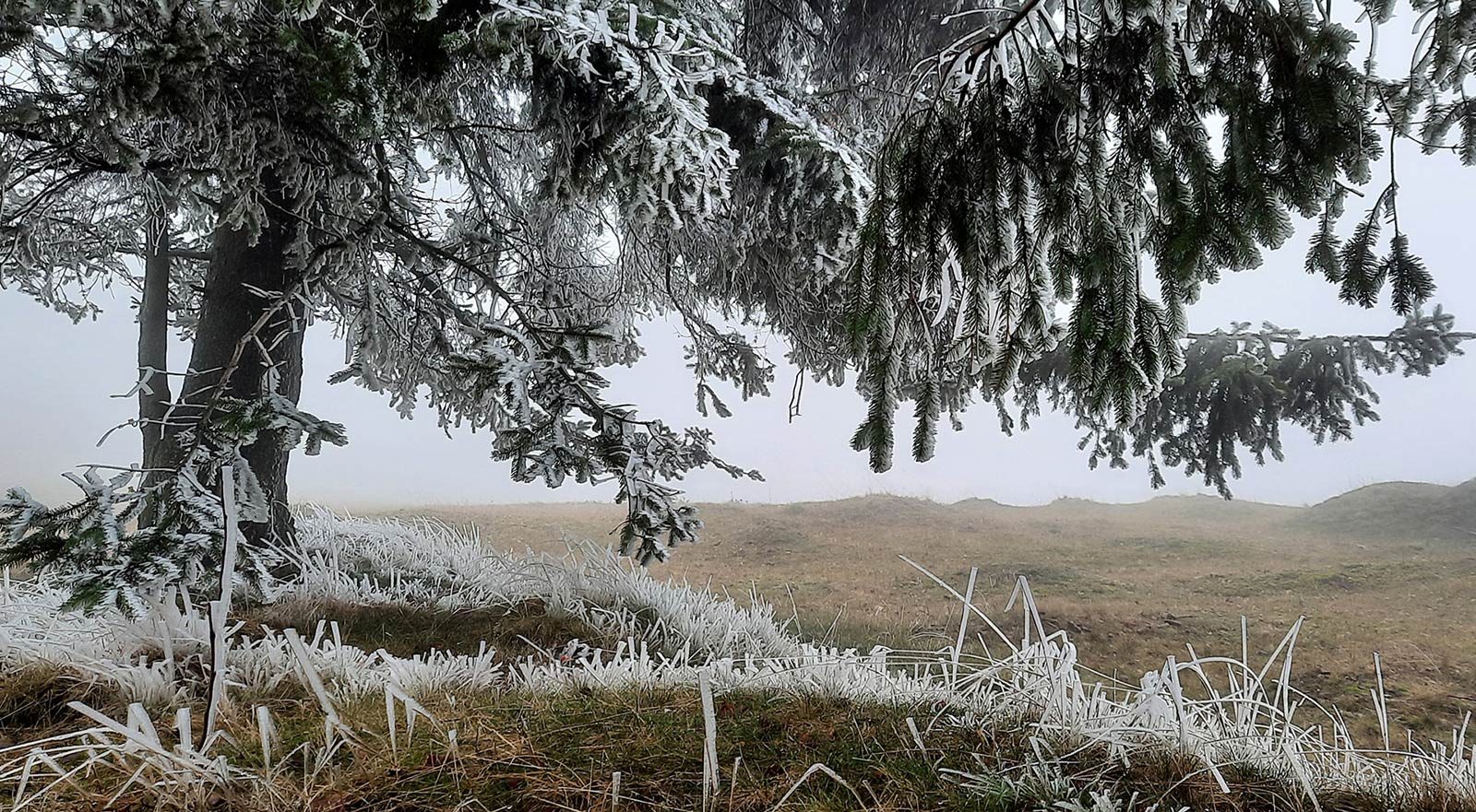 2020-Bild-des-Jahres-66-Winterboten-ds-5.67 Winterboten (Foto: Dietmar Schmidt)