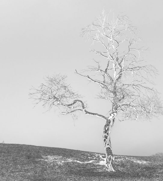 Serie: Variation 3 (Foto: Uli Pfeufer)