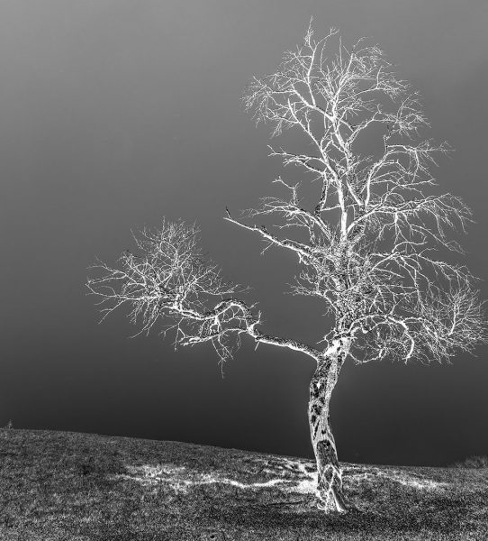 Serie: Variation 4 (Foto: Uli Pfeufer)