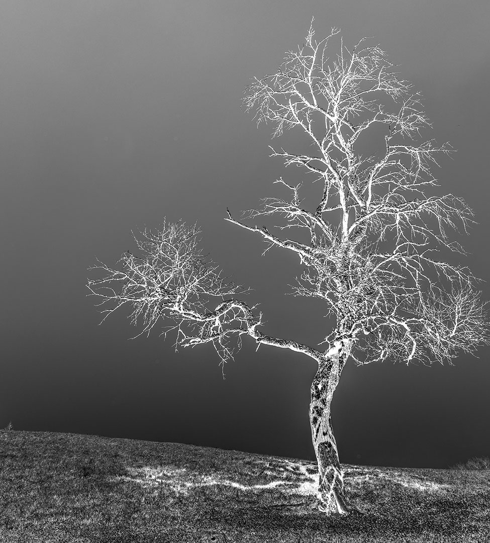 2020-Bild-des-Jahres-zz01-Variation-4-upf-3.67 Serie: Variation 4 (Foto: Uli Pfeufer)