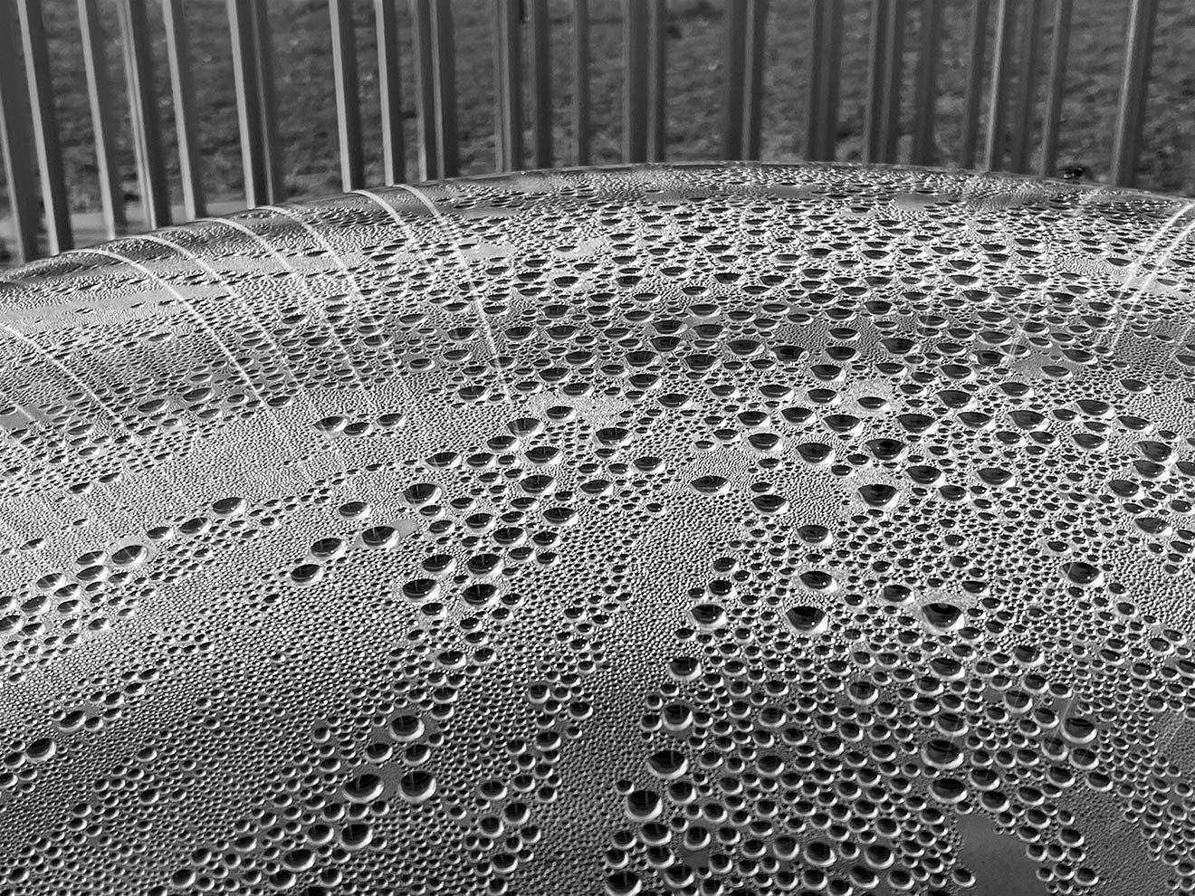 Fotoclub: Bild des Quartals 3.2025