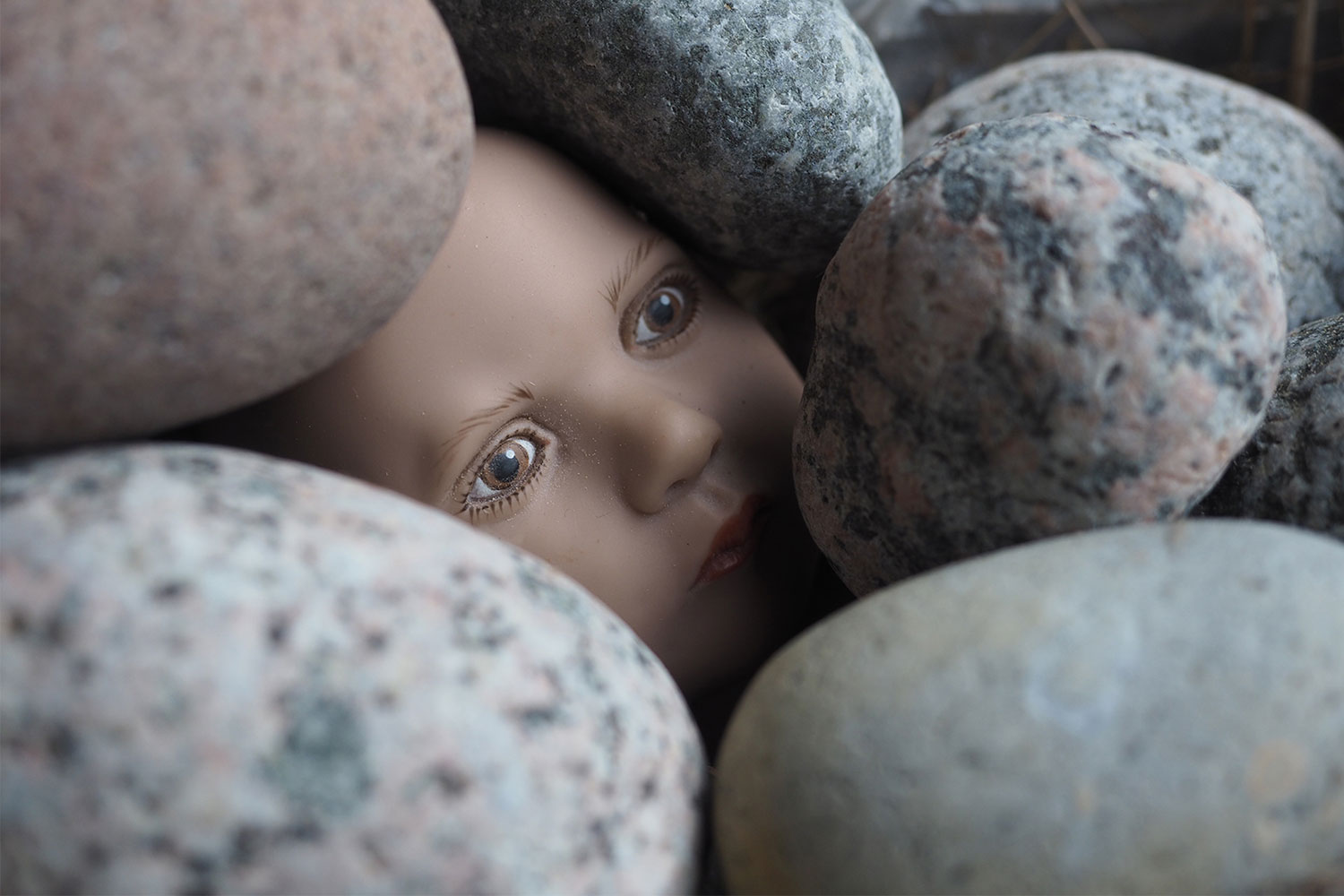 2020-Bild-des-Jahres-zz04-Verborgen-3-ak-6 Serie: Verborgen 3 (Foto: Andreas Kuhrt)