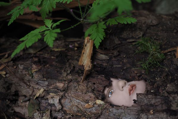 Serie: Verborgen 5 (Foto: Andreas Kuhrt)