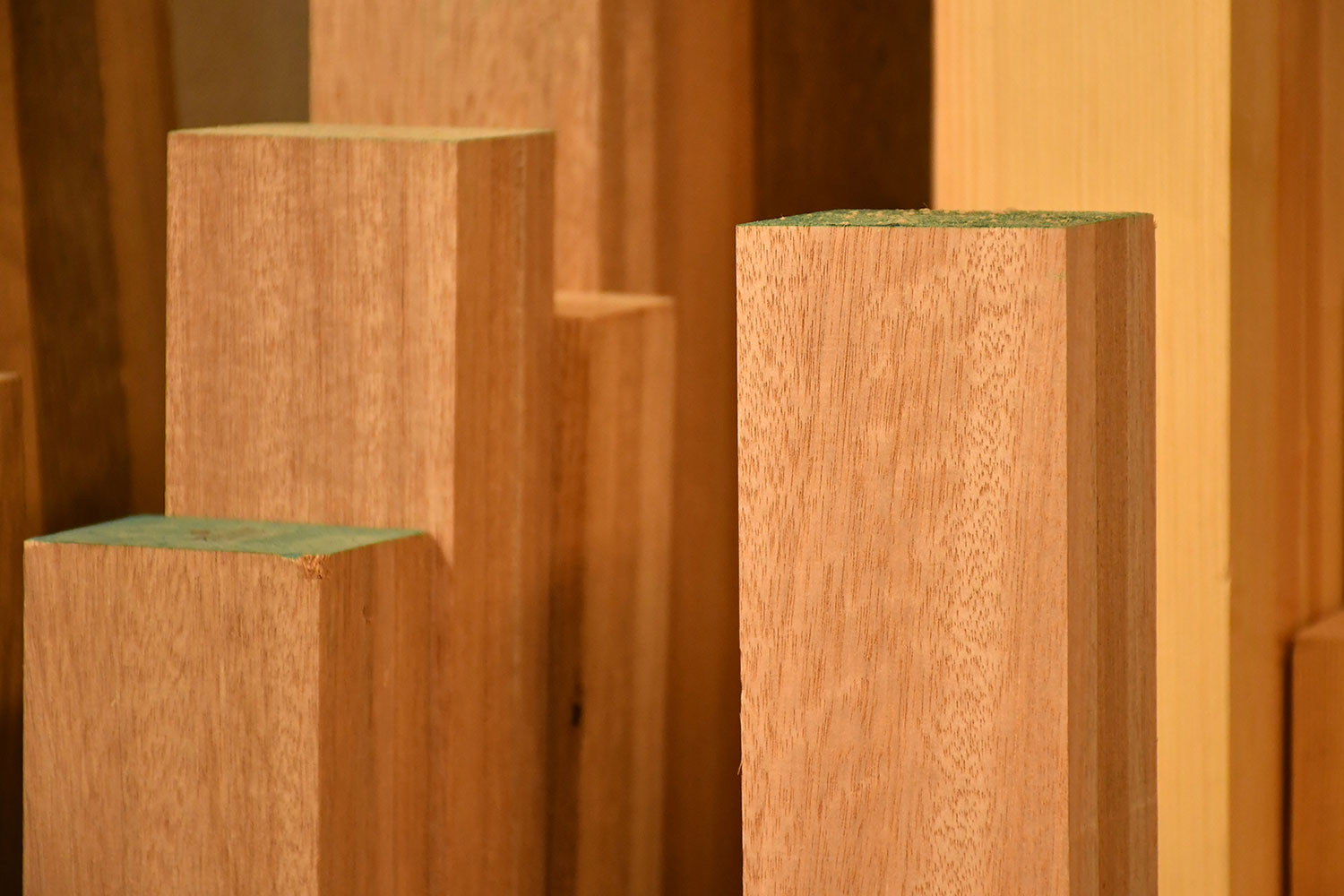 2020-Bild-des-Jahres-zz05-2-Vom-Tuer-Werden-gg-4.33 Serie: Vom Tür Werden 2 (Foto: Günter Giese)