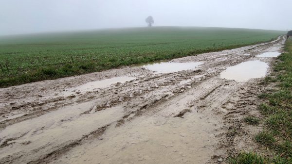 Serie: Vorwinter 1 (Foto: Peter Maximilian Schmidt)