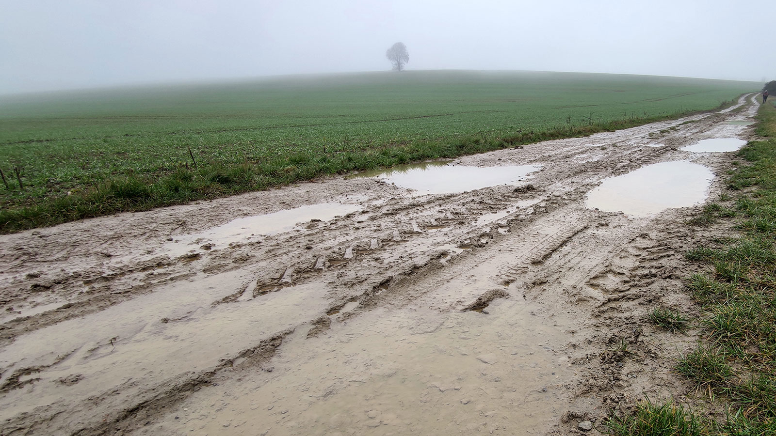 2020-Bild-des-Jahres-zz06-Vorwinter-1-pms-5.33 Serie: Vorwinter 1 (Foto: Peter Maximilian Schmidt)