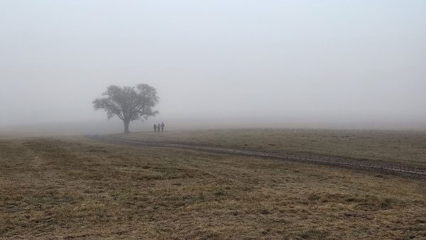 Serie: Vorwinter 4 (Foto: Peter Maximilian Schmidt)