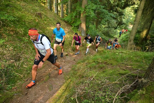 Im Suhler Stadtwald . Südthüringentrail 2020 (Foto: Günter Giese)