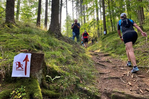 Im Suhler Stadtwald . Südthüringentrail 2020 (Foto: Manuela Hahnebach)