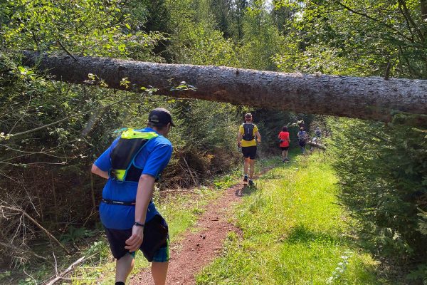 Im Suhler Stadtwald . Südthüringentrail 2020 (Foto: Manuela Hahnebach)
